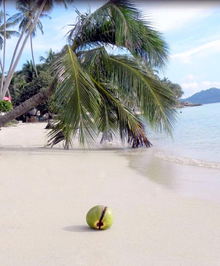 爱巴基棕榈日落海滩豪华别墅酒店 Taling Ngam Beach 外观 照片