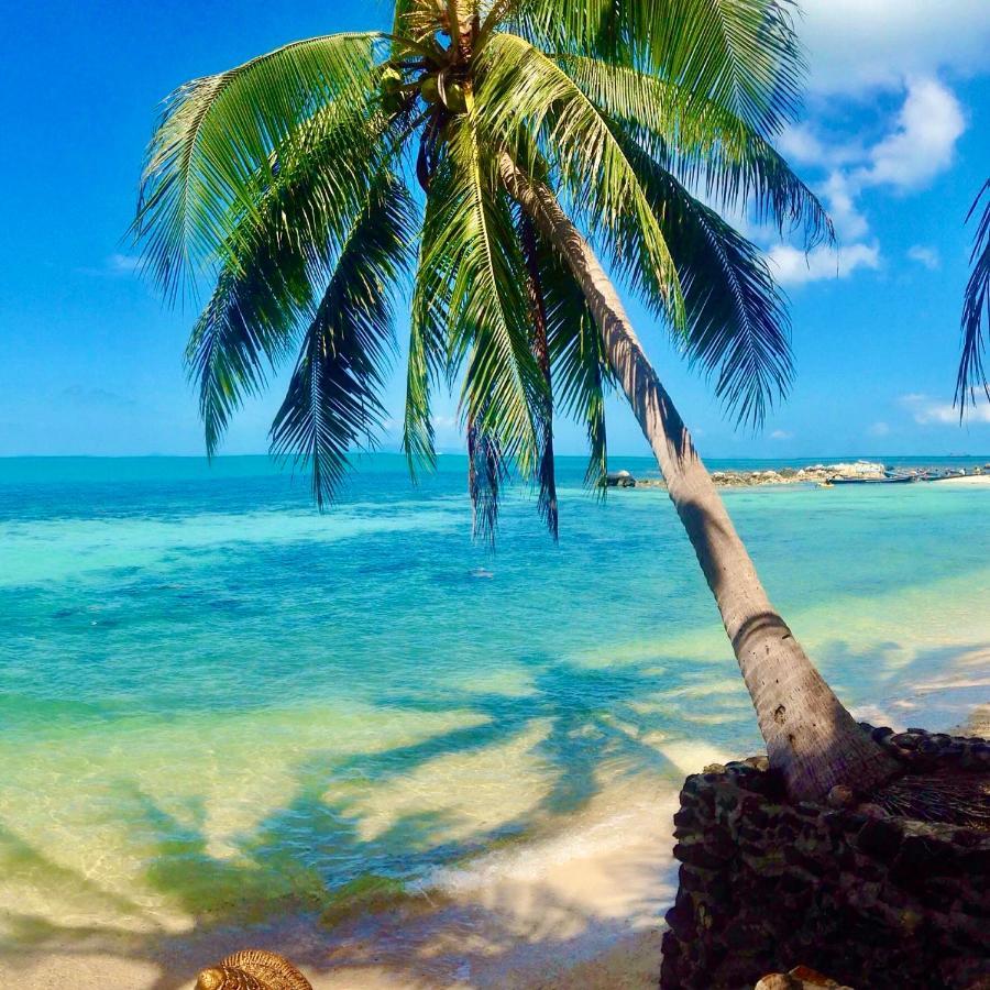 爱巴基棕榈日落海滩豪华别墅酒店 Taling Ngam Beach 外观 照片